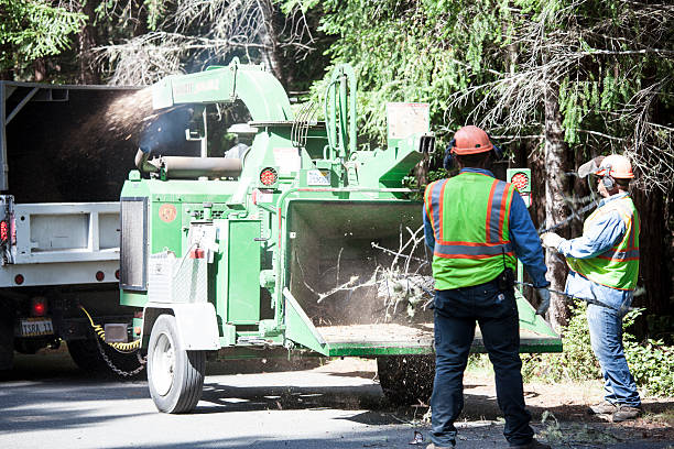  Tallahassee, FL Tree Care Pros